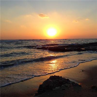 金博宝官网手机app下载